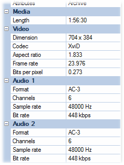 WinCatalog displays properties of a video file